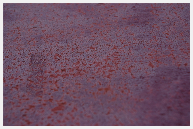 Ladybug